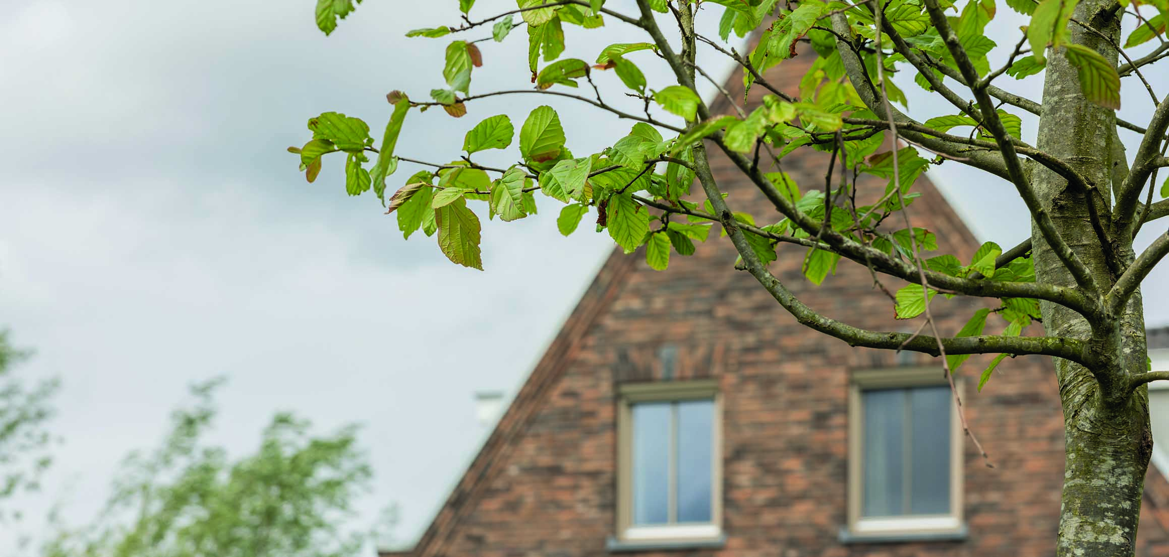 Boom voor bakstenen puntgevel in Ouderkerk aan den IJssel