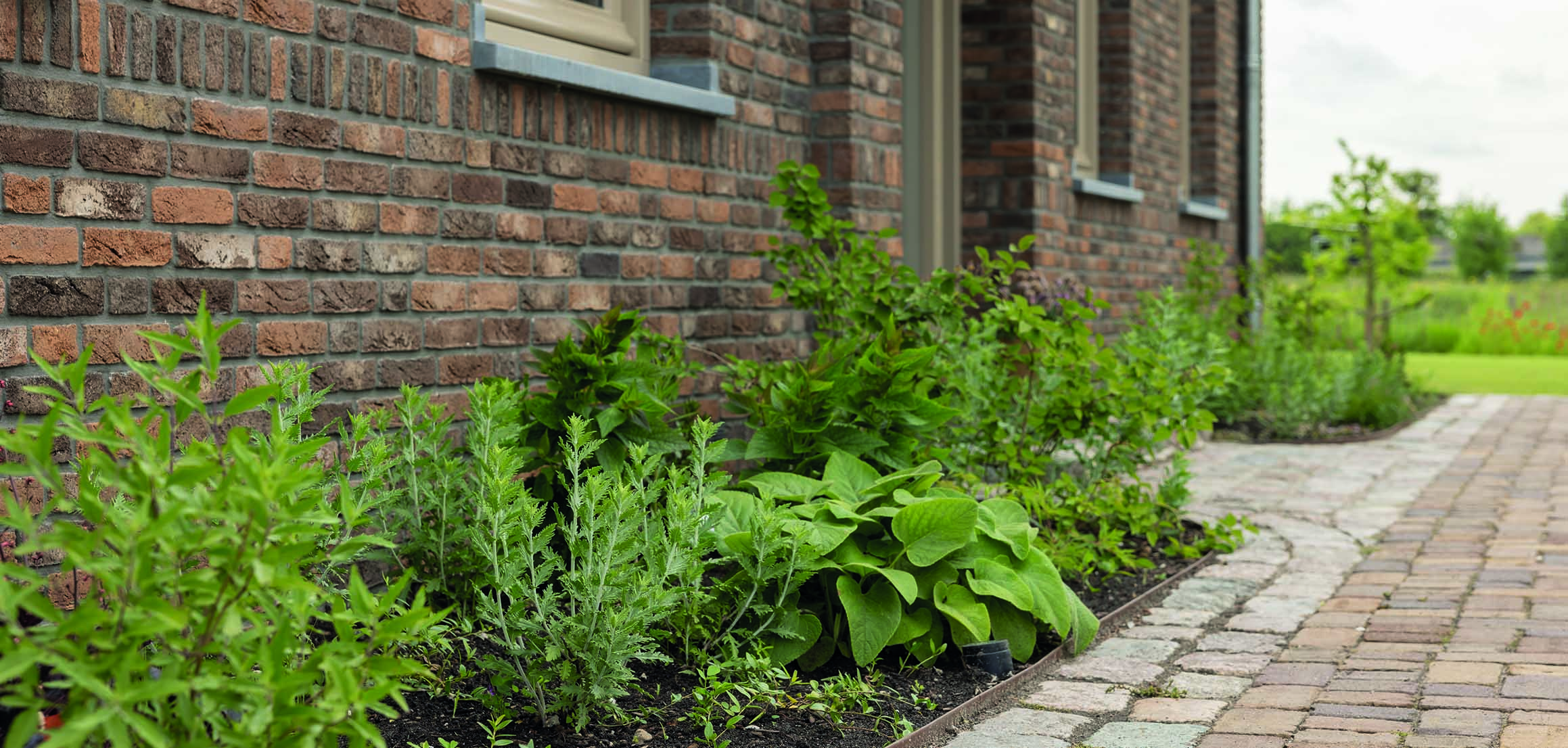 Border met beplanting langs klinkerpad in Ouderkerk aan den IJssel