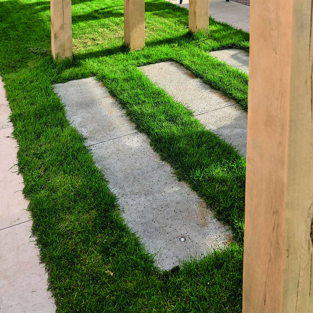 Stapstenen in gras naast houten paal in Gouda